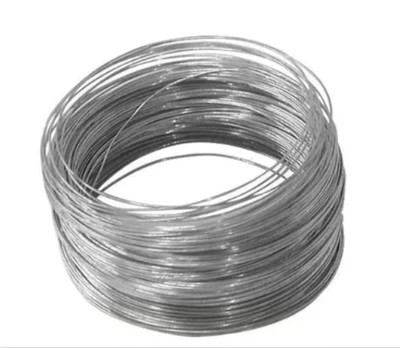 ASME SB{0}} Titanium Gr 1 laidai